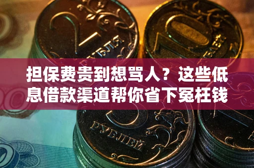 北京担保费贵到想骂人？这些低息借款渠道帮你省下冤枉钱