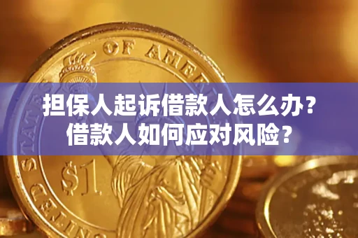 北京担保人起诉借款人怎么办？借款人如何应对风险？