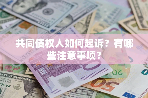 北京共同债权人如何起诉？有哪些注意事项？